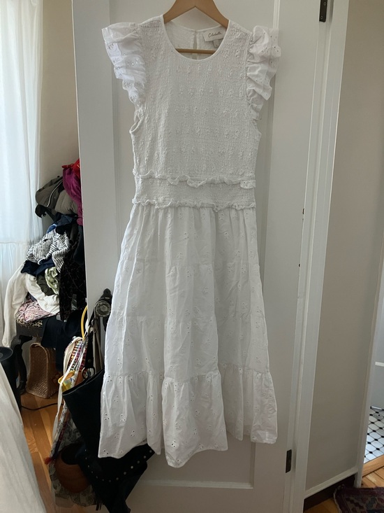 Cleobella Dresses & Skirts - Cleobella gorgeous broderie maxi dress